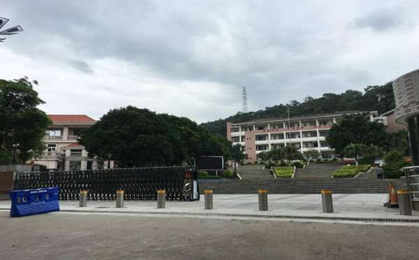全自动升降柱
